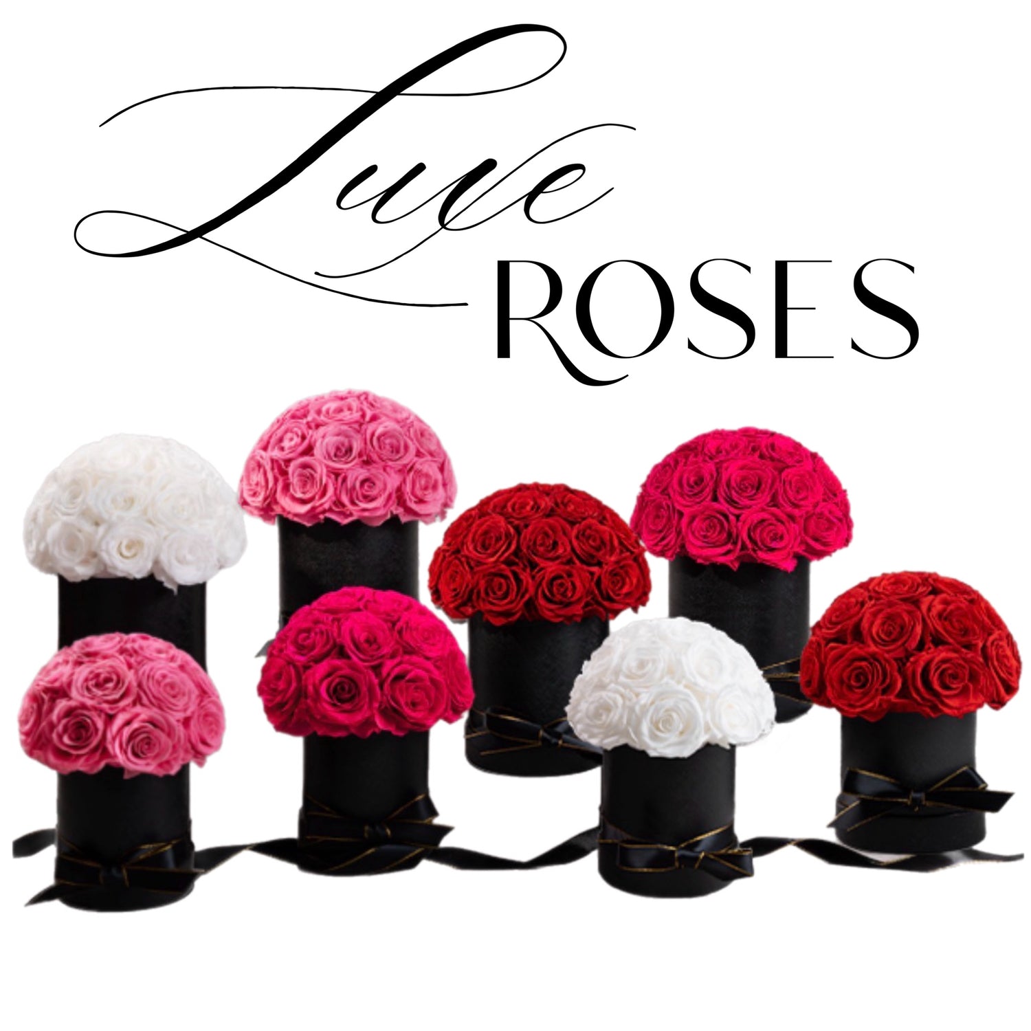 Luxe Roses