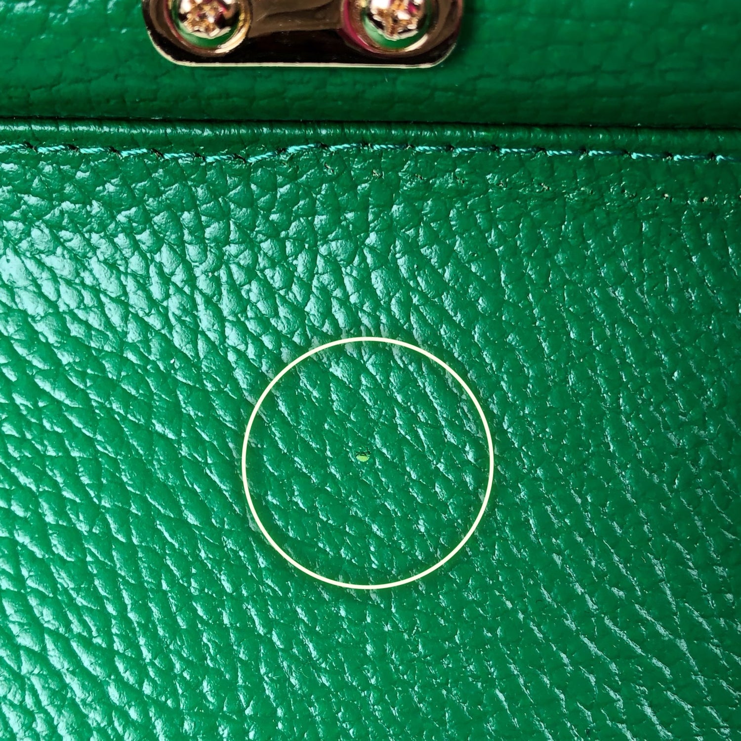 CATERINA GREEN LEATHER BAG