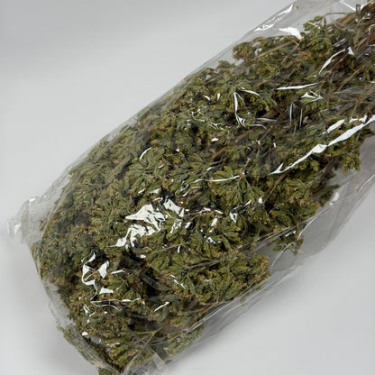 Sicilian Dried Oregano Bunch