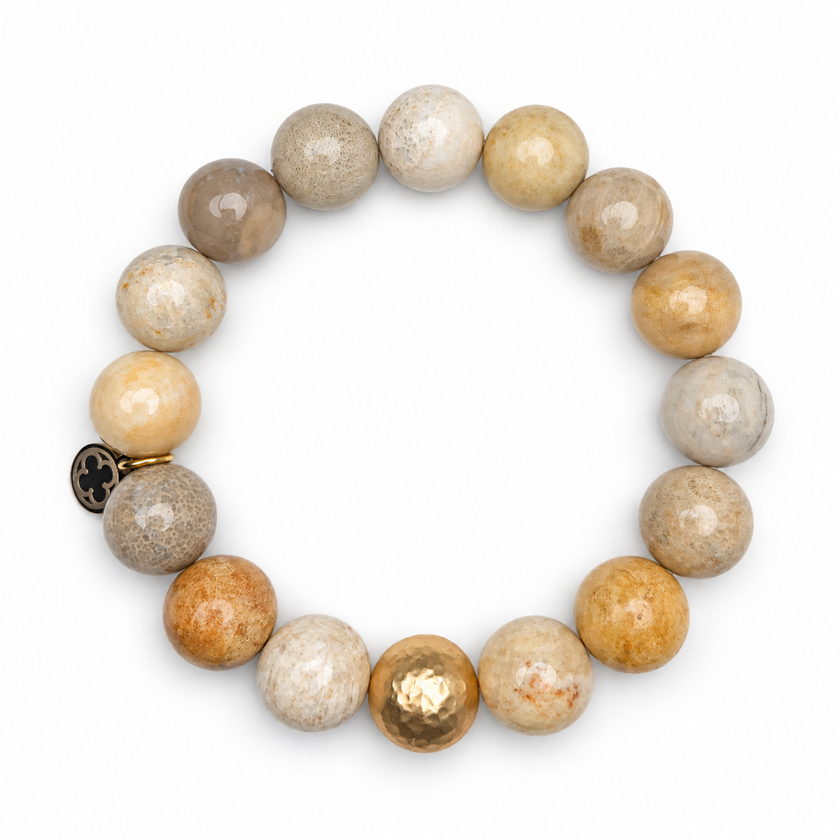 Fossil Coral with Hammered Gold Accent on a white background