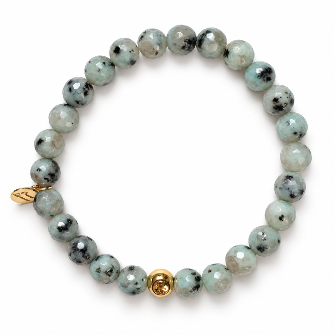 Mens Kiwi Jasper with Gold Accent on white studio background