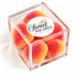 Peach Gummies Sweet Square - Oriana LaMarca Designs