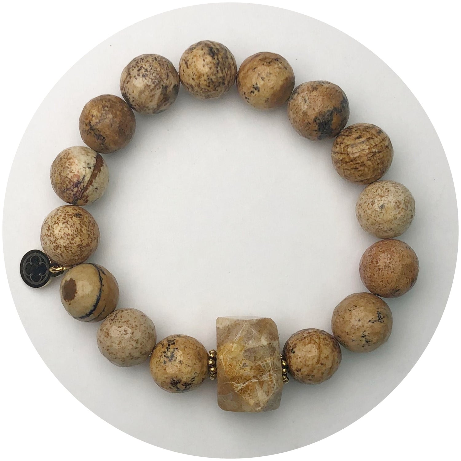 Picture Jasper with Fossil Coral Nugget Rock Candy