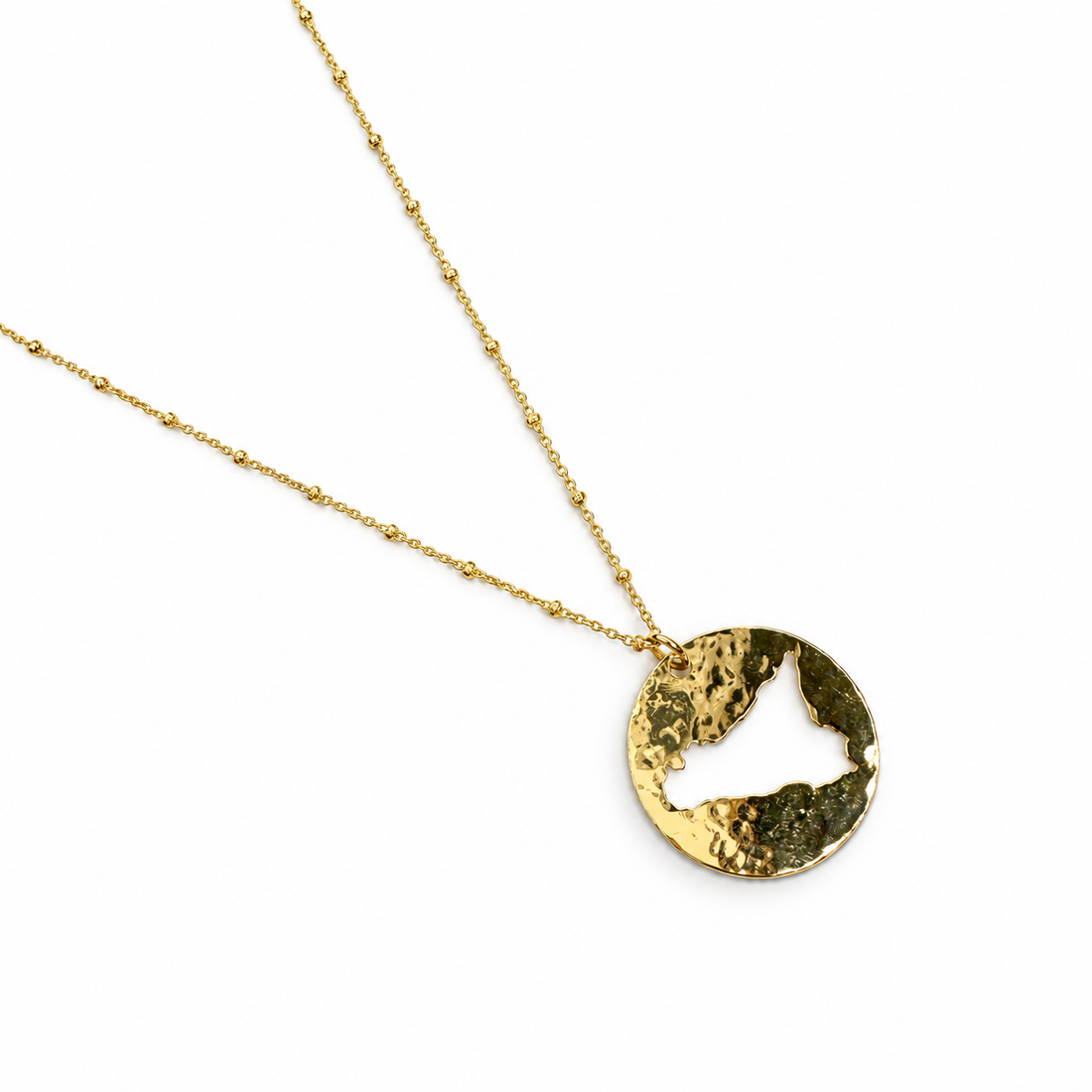 Sicily Island Small Round Cutout Necklace studio photo