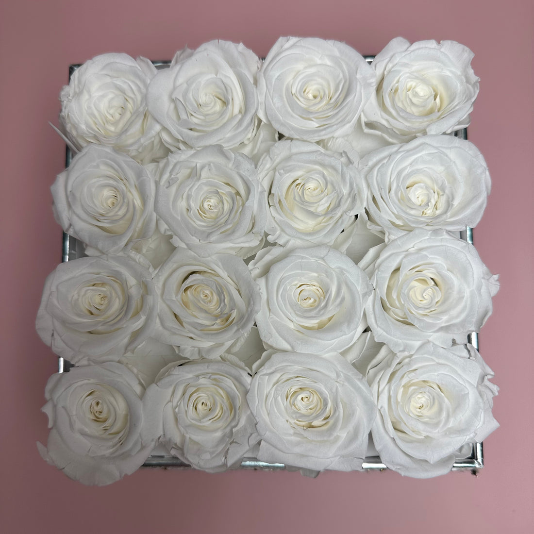 Forever White Roses with White Tweed Flower Box