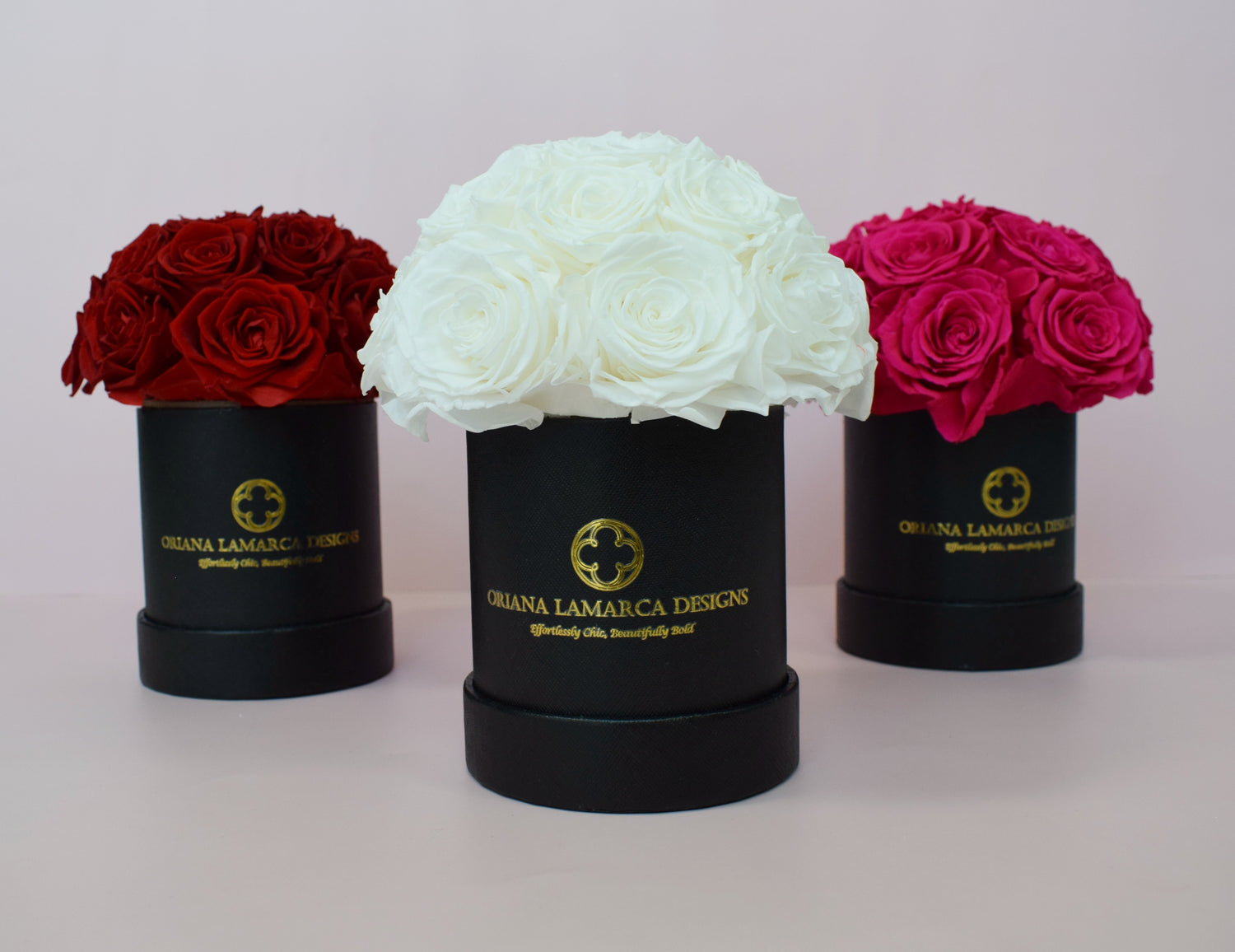 Luxe White Dome Roses in Black Keepsake Box - Oriana Lamarca LLC