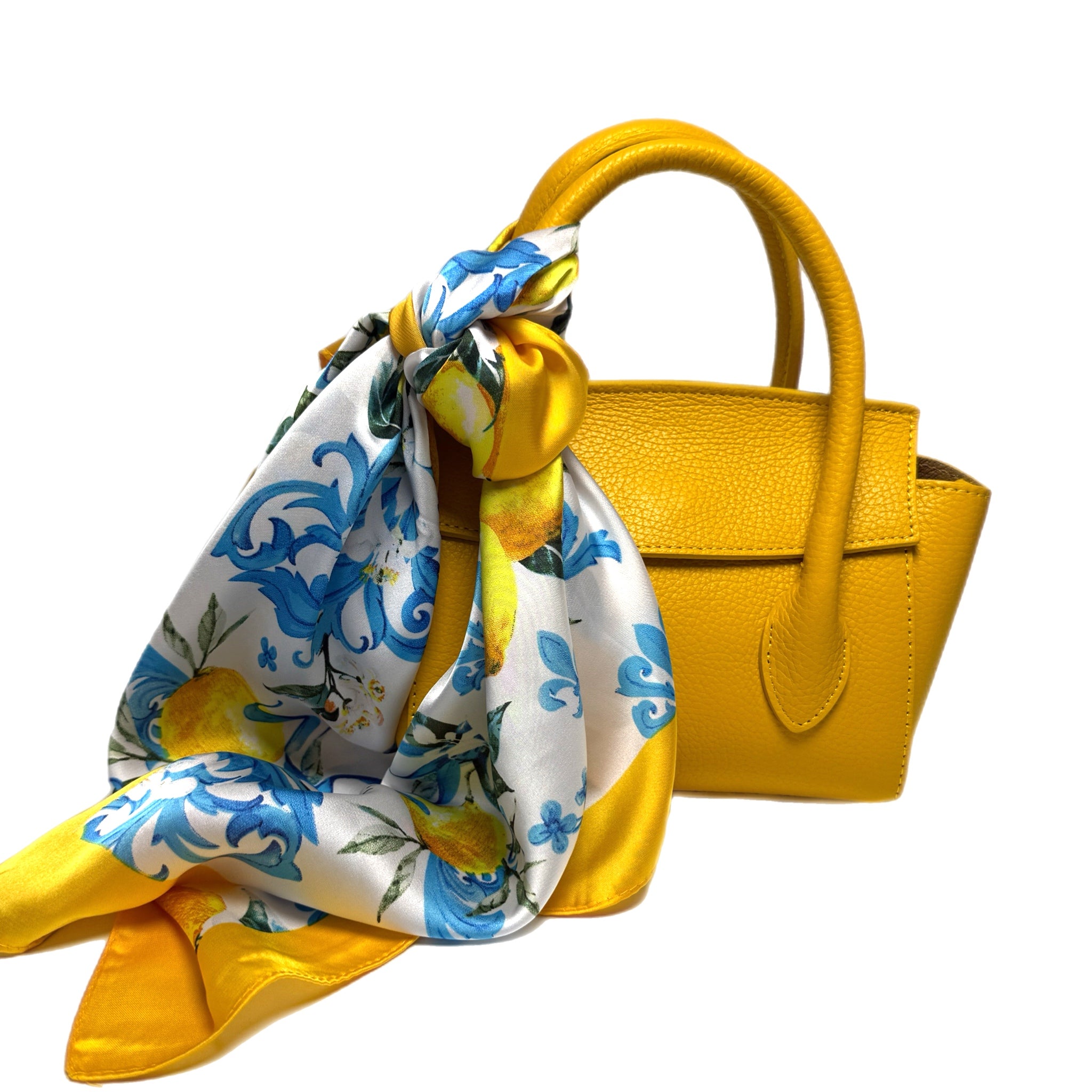 Martina Giallo Leather Handbag