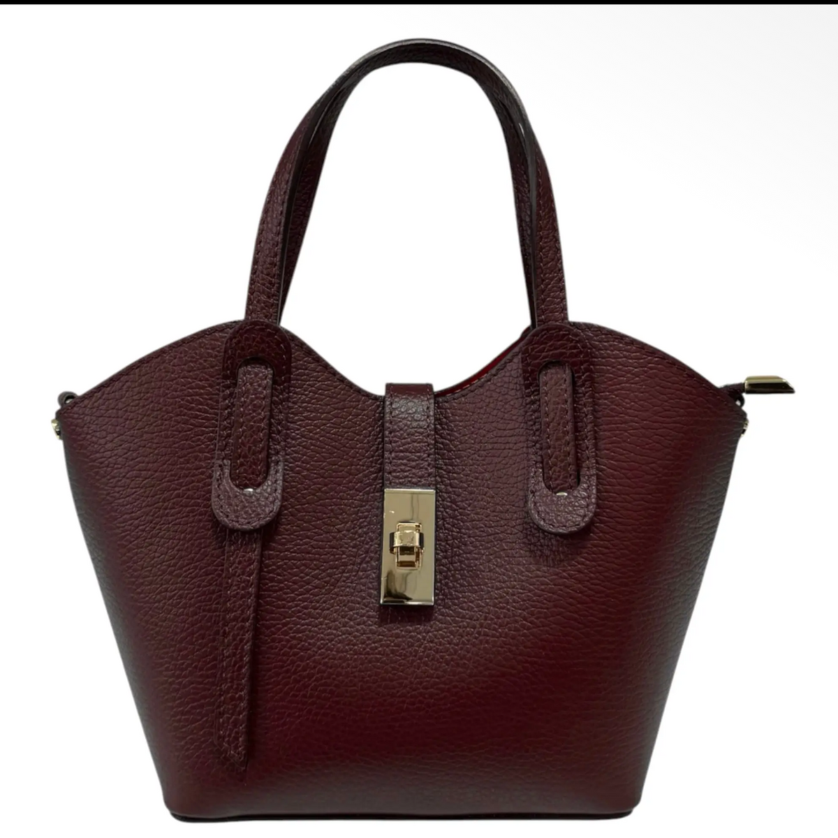 Alessia  Marsala Mini Leather Tote with Crossbody Strap