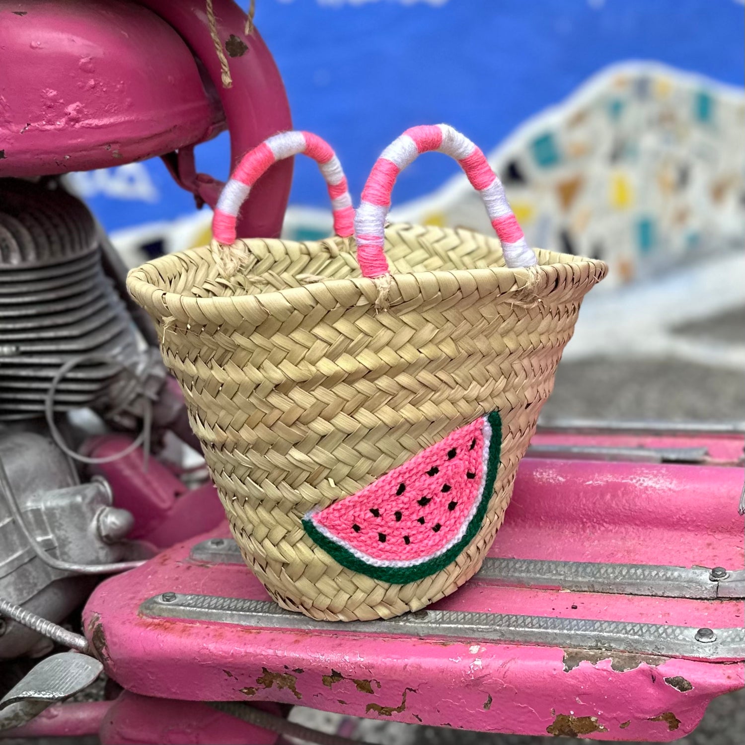 Watermelon straw best sale bag