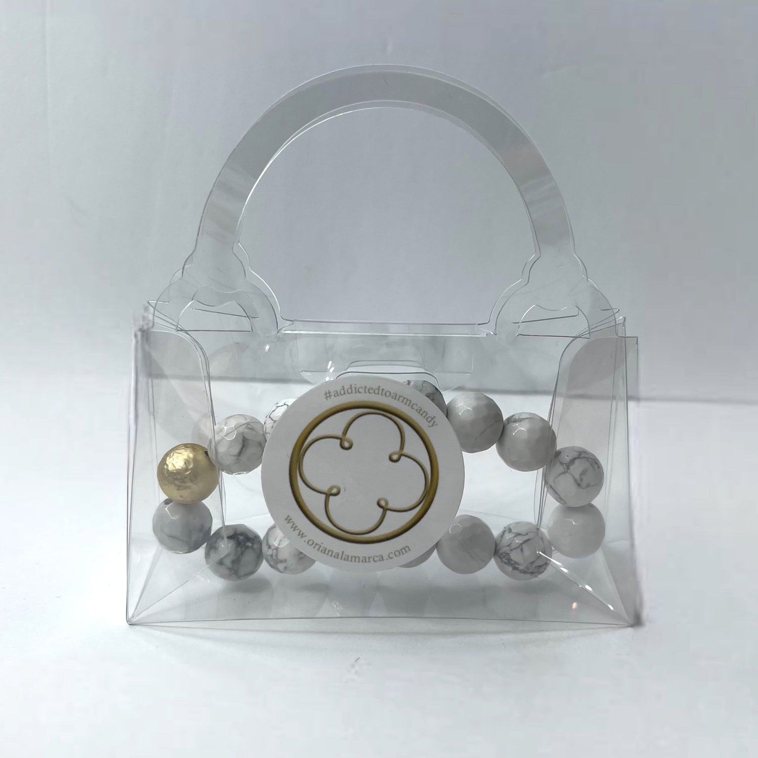 Clear Purse Container