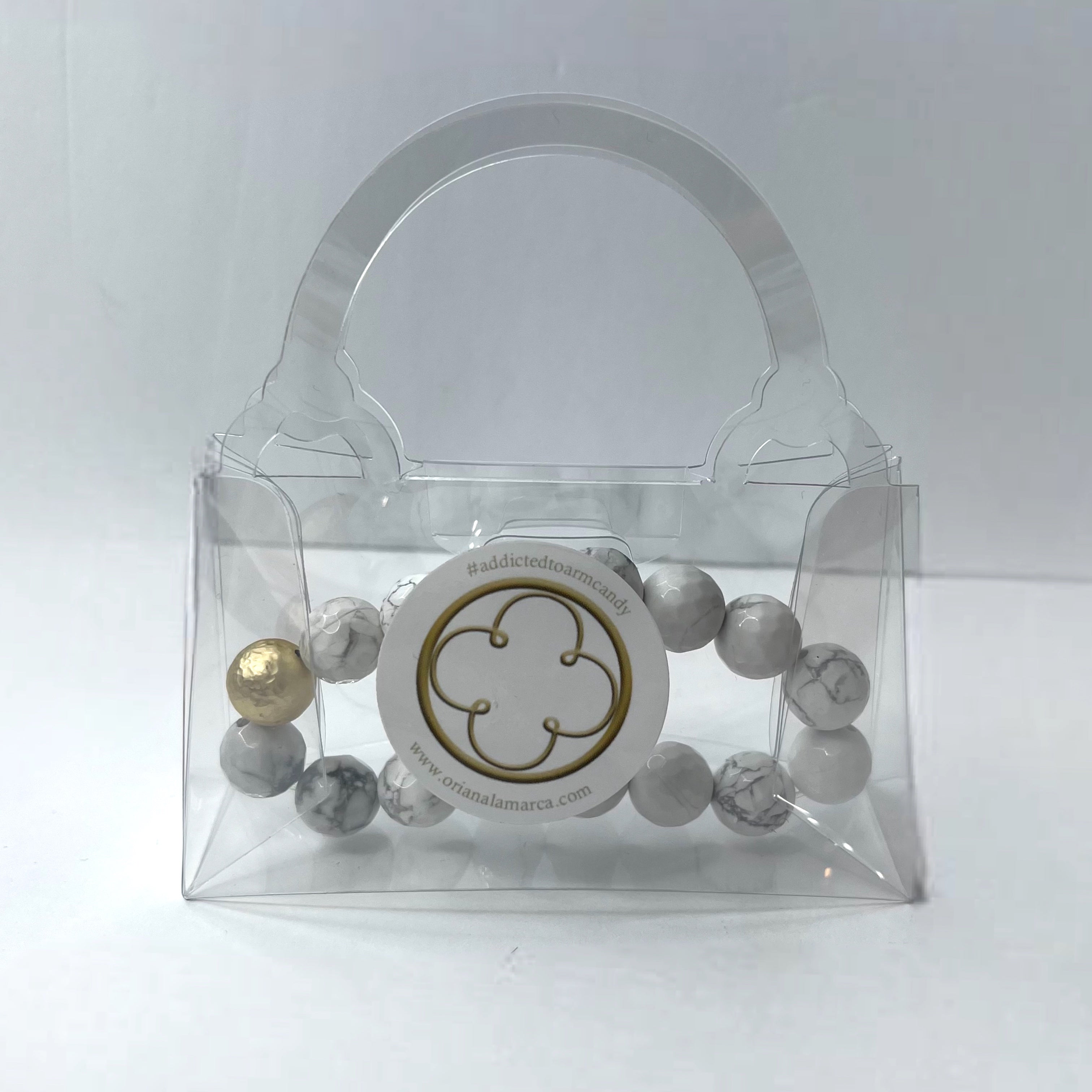 Clear Purse Container